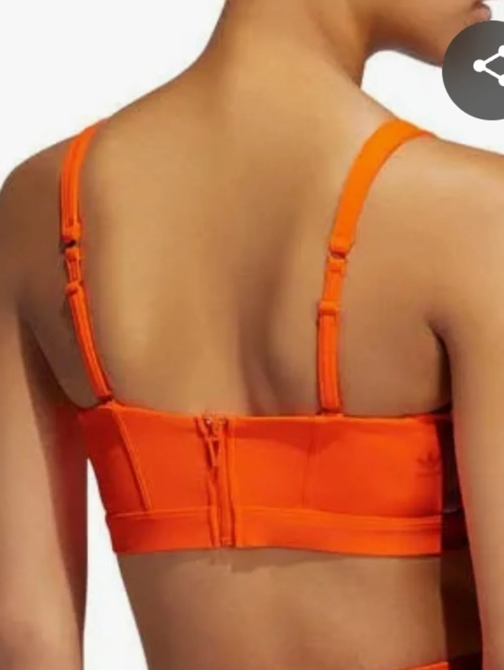 IVY PARK vibrant neon